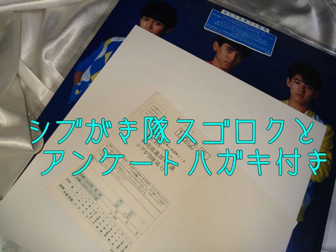 貴重エラー写真LP❤シブがき隊 新品 音源AB収録 盤写両方A画仕様 特価