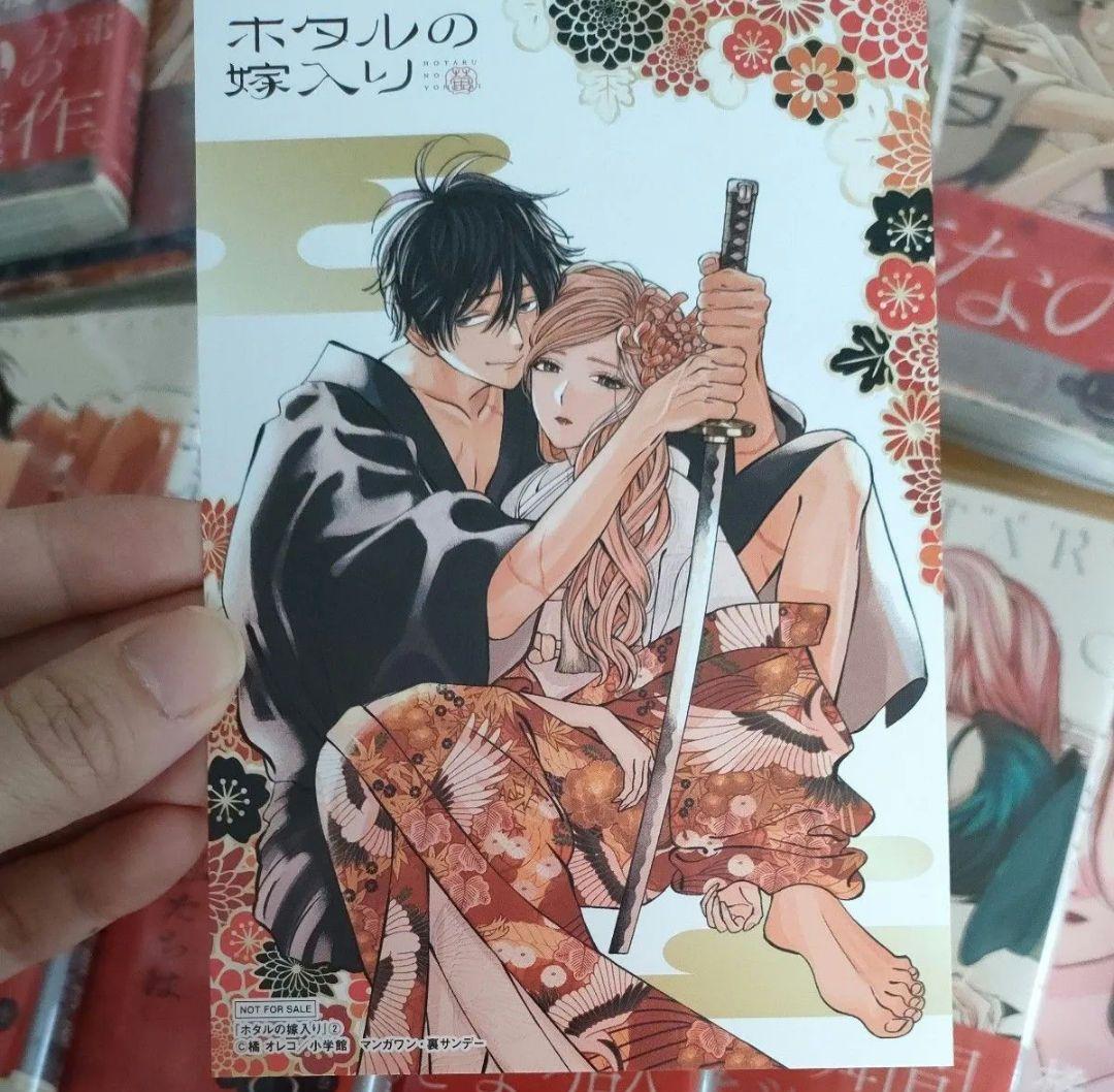 ホタルの嫁入り　全巻　11巻　特典　イラスト　カード　ポストカード