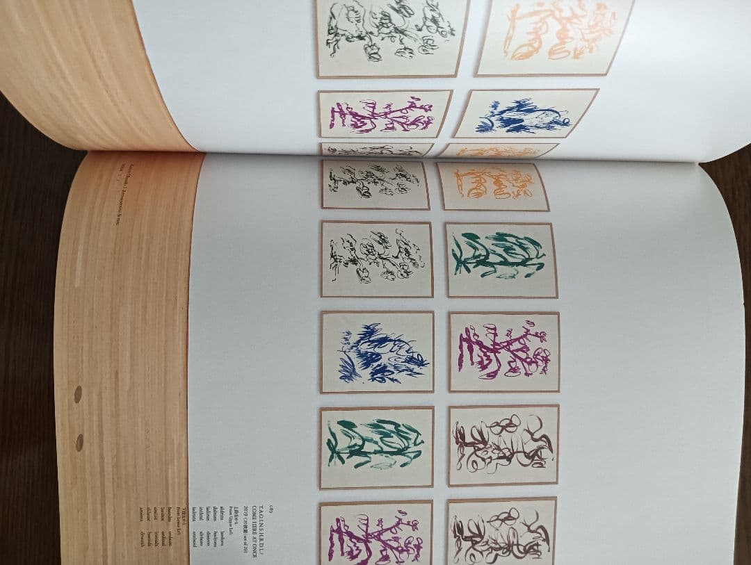 岡﨑乾二郎 視覚のカイソウ 豊田市美術館