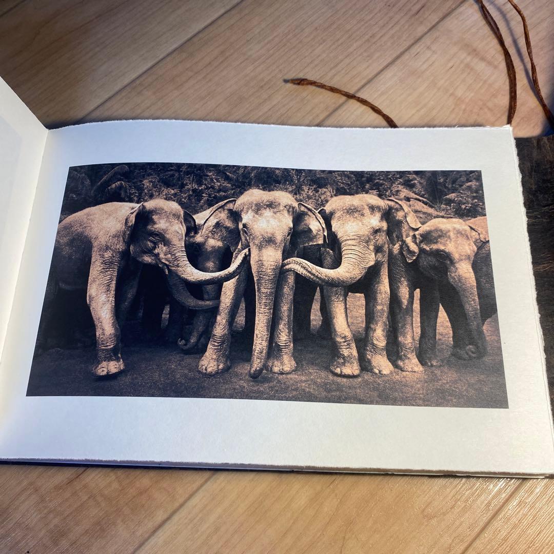 洋書 ashes and  by Gregory Colbert 2007