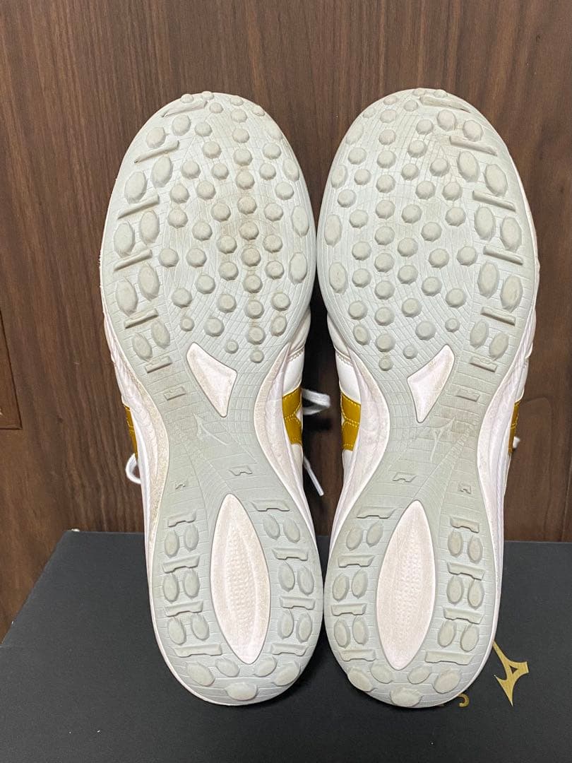 ミズノモレリア エリート26cm