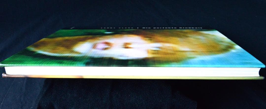 【Larry Clark：Die Perfekte Kindheit】新品・美本