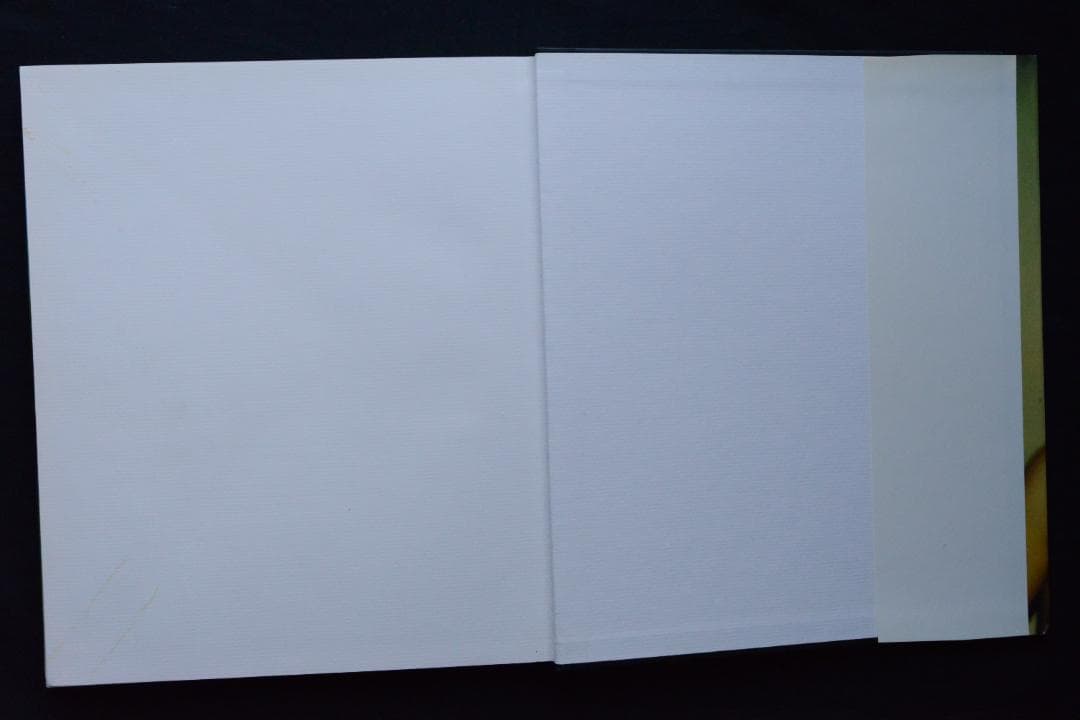 【Larry Clark：Die Perfekte Kindheit】新品・美本