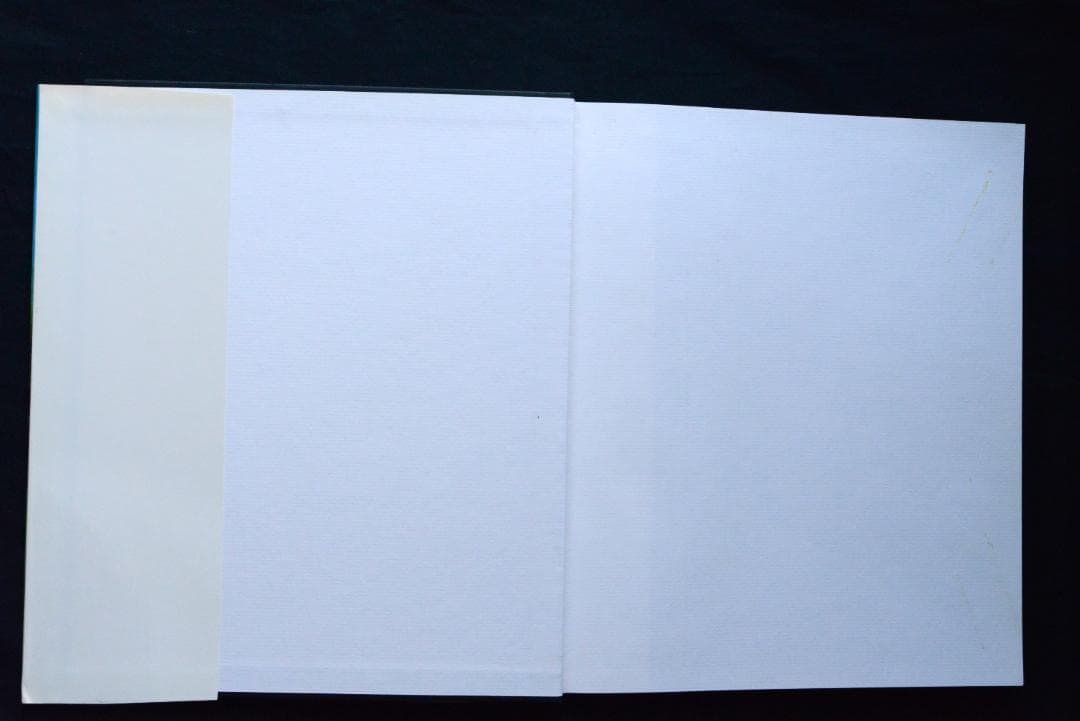 【Larry Clark：Die Perfekte Kindheit】新品・美本