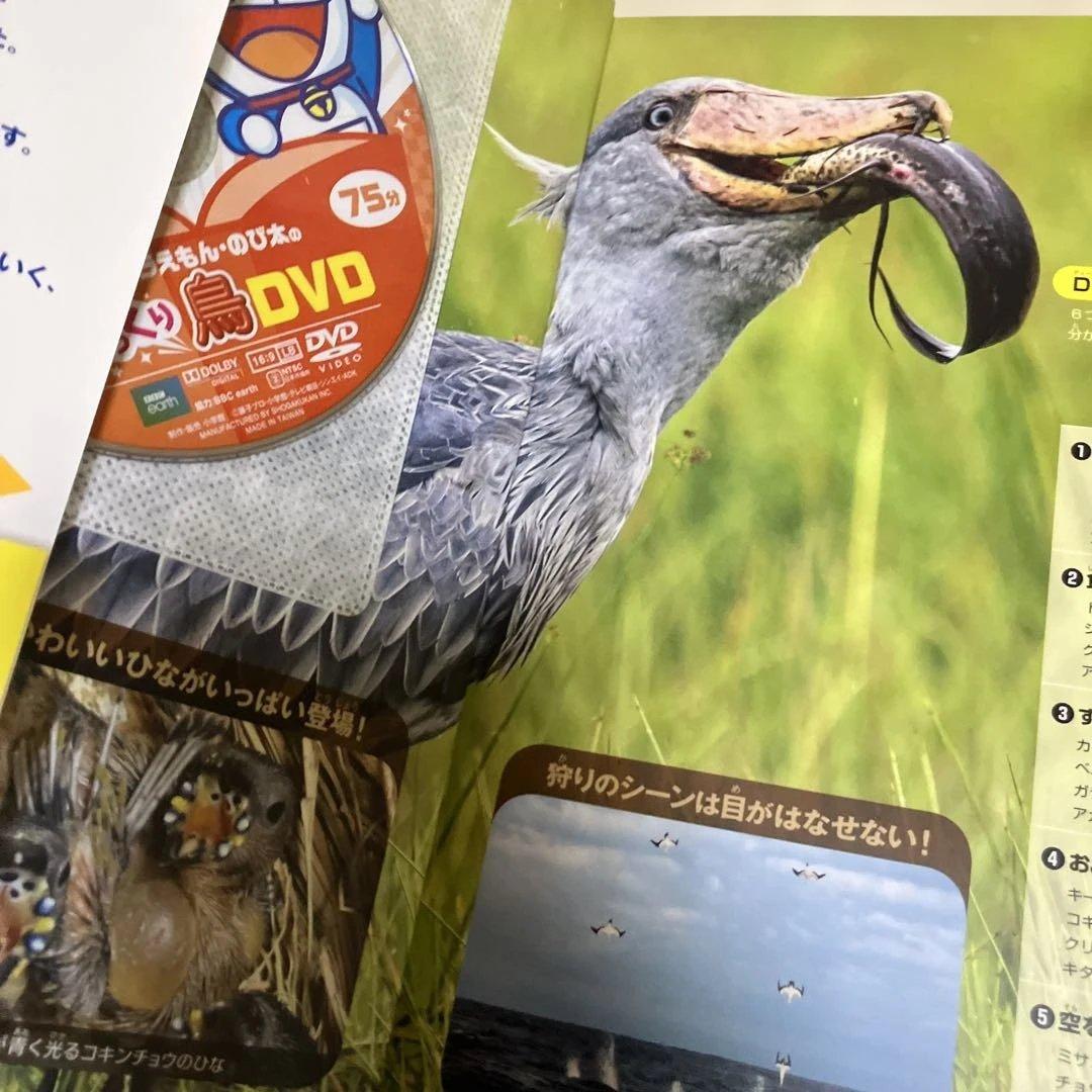 小学校の図鑑 NEO 新版 DVD付き 5冊セット