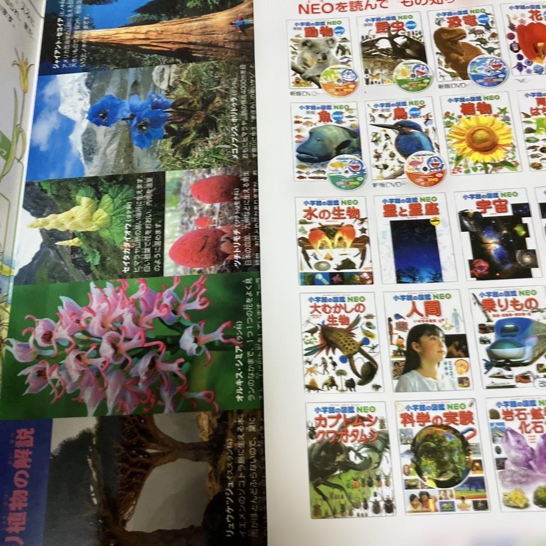 小学校の図鑑 NEO 新版 DVD付き 5冊セット