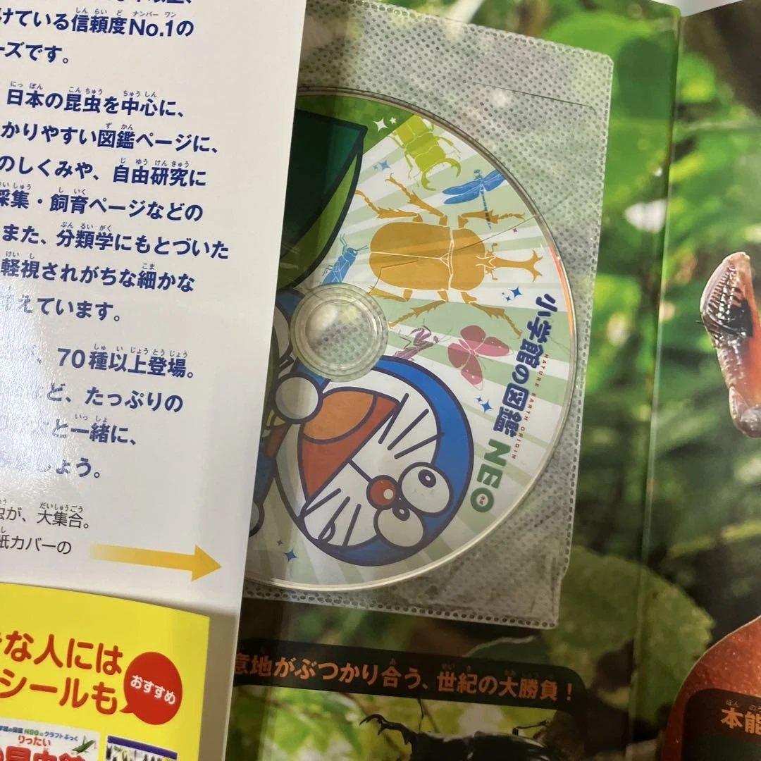 小学校の図鑑 NEO 新版 DVD付き 5冊セット