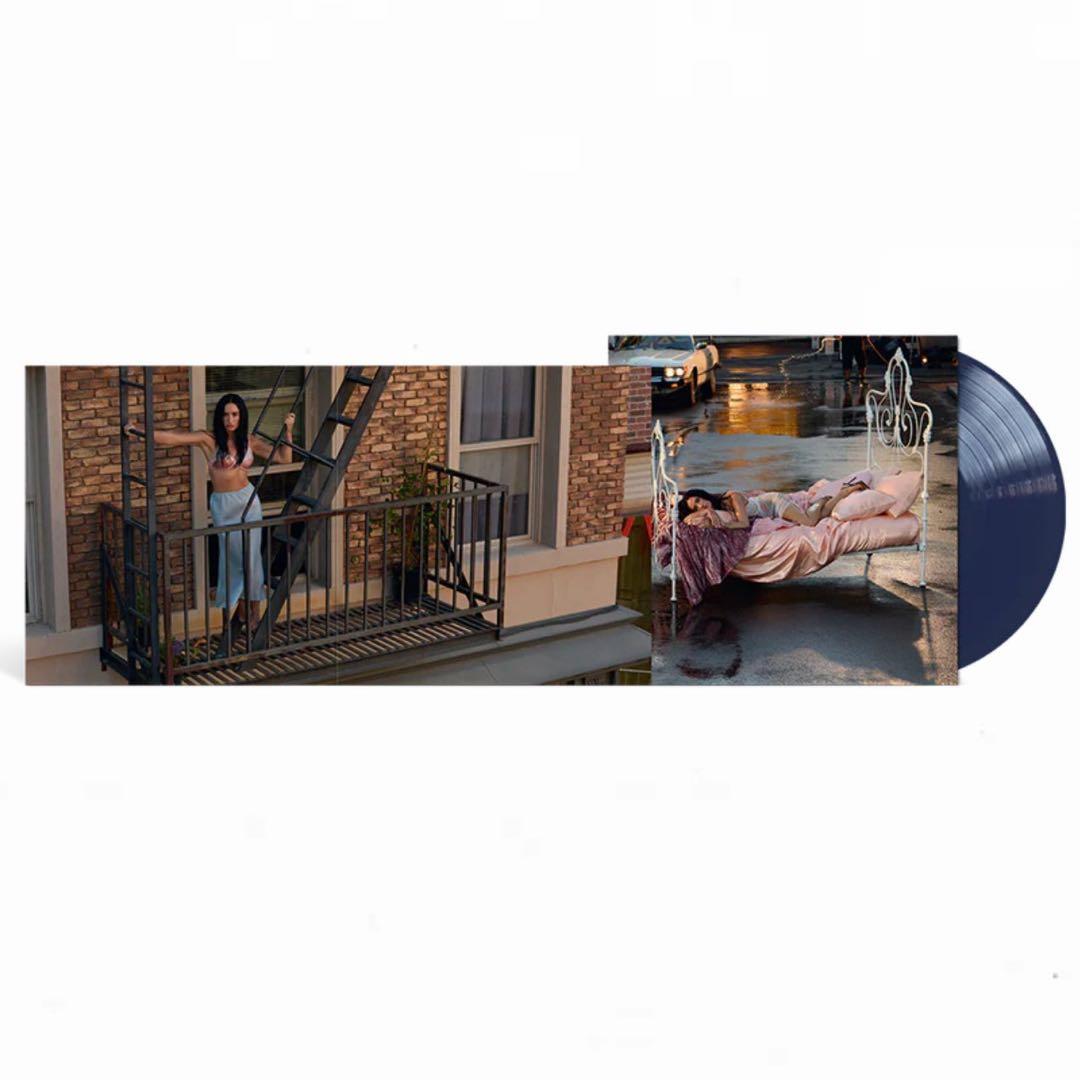 Demi Lovato　直筆サイン入りブルーレコード　別ジャケット