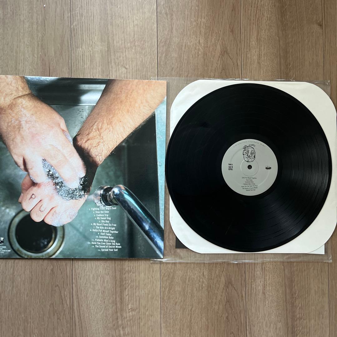 廃盤❗️Hi-Standard レコード5枚セット