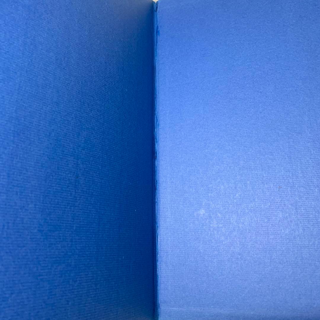 アート・デザイン・音楽 Helen Frankenthaler by John Elderfield