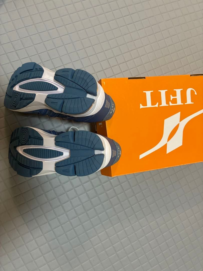 新品デサントフィットネスシューズ24.5センチ