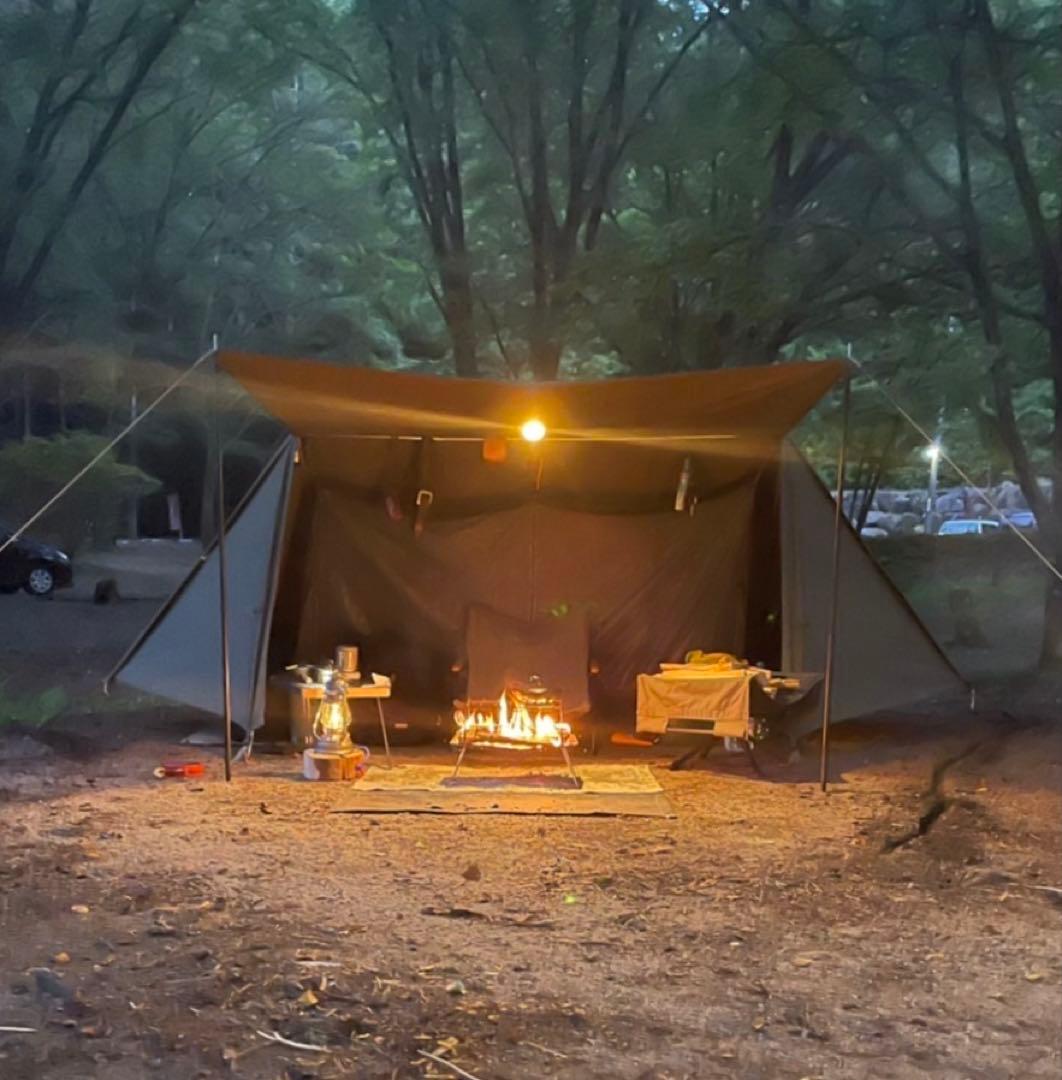 取説付《フューチャーフォックスEVO仕様》二股フレーム＋棟ポールセット　快適空間