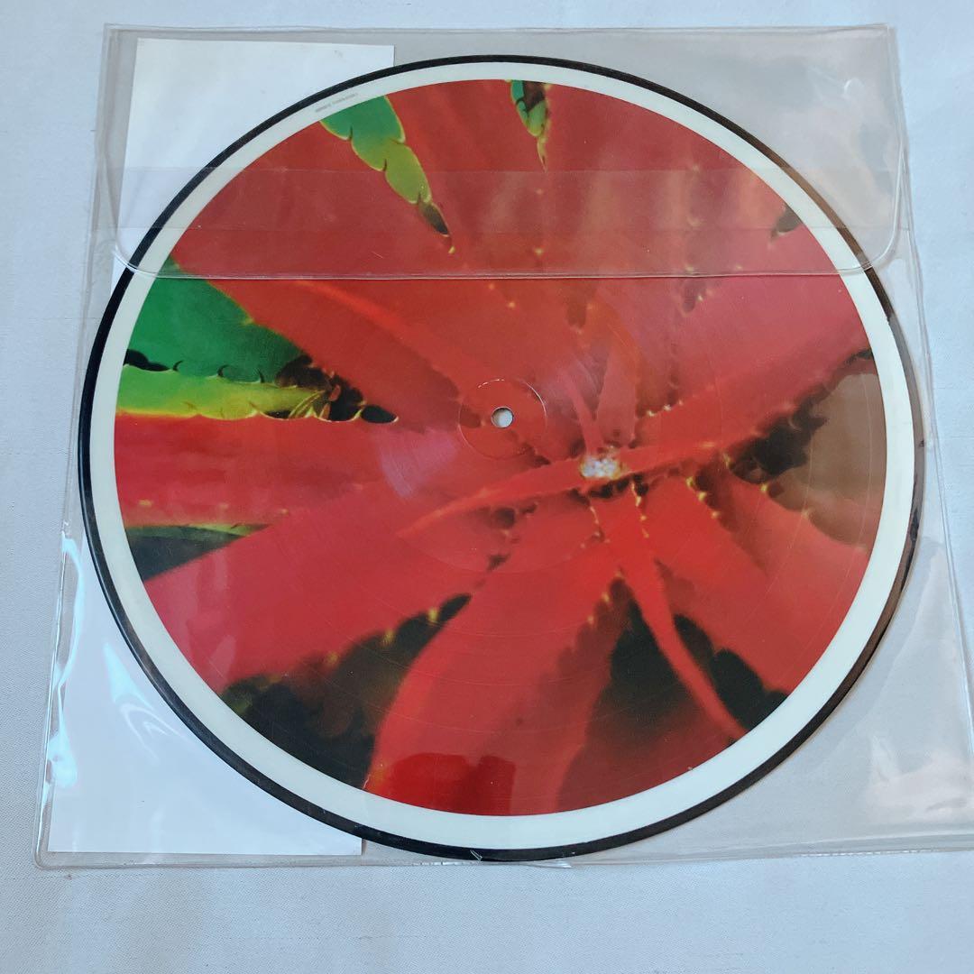 Jejune – This Afternoons Malady LP