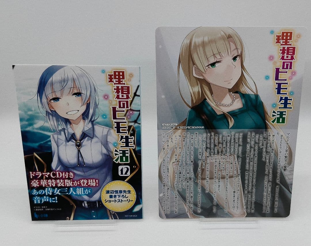 理想のヒモ生活 ノベル 全15巻セット 特典付き 未開封あり 渡辺恒彦 文倉十