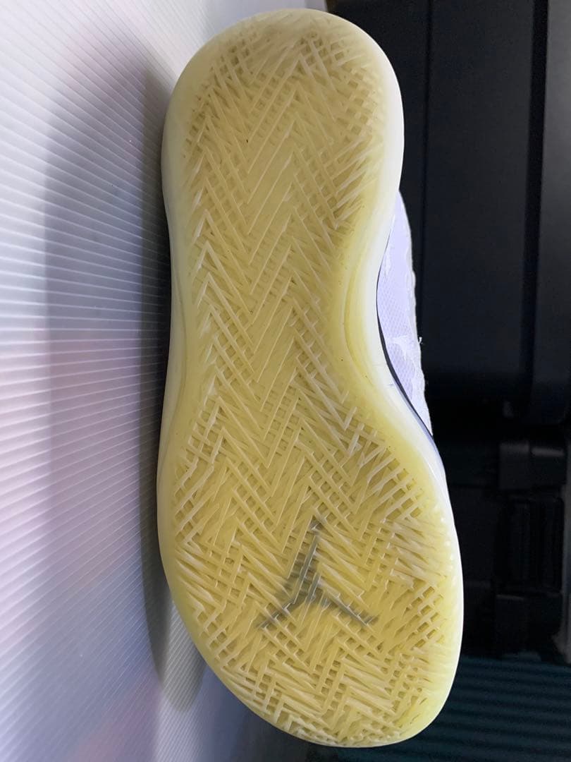 美品 AIR JORDAN TYPE 39 エアージョーダン 28cm ホワイト