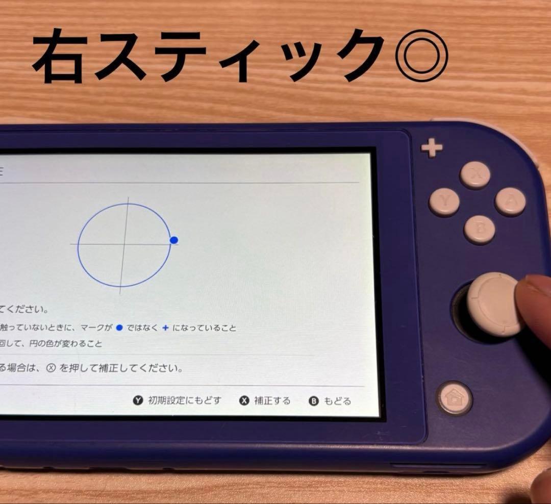 2021年　動作確認済み◎Nintendo Switch light 本体のみ