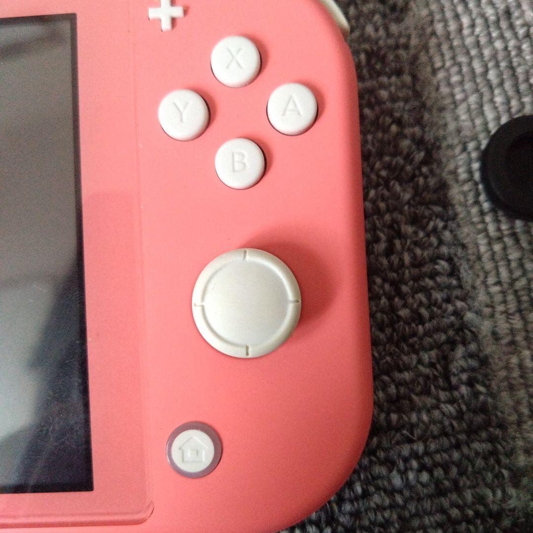 Switchライト本体