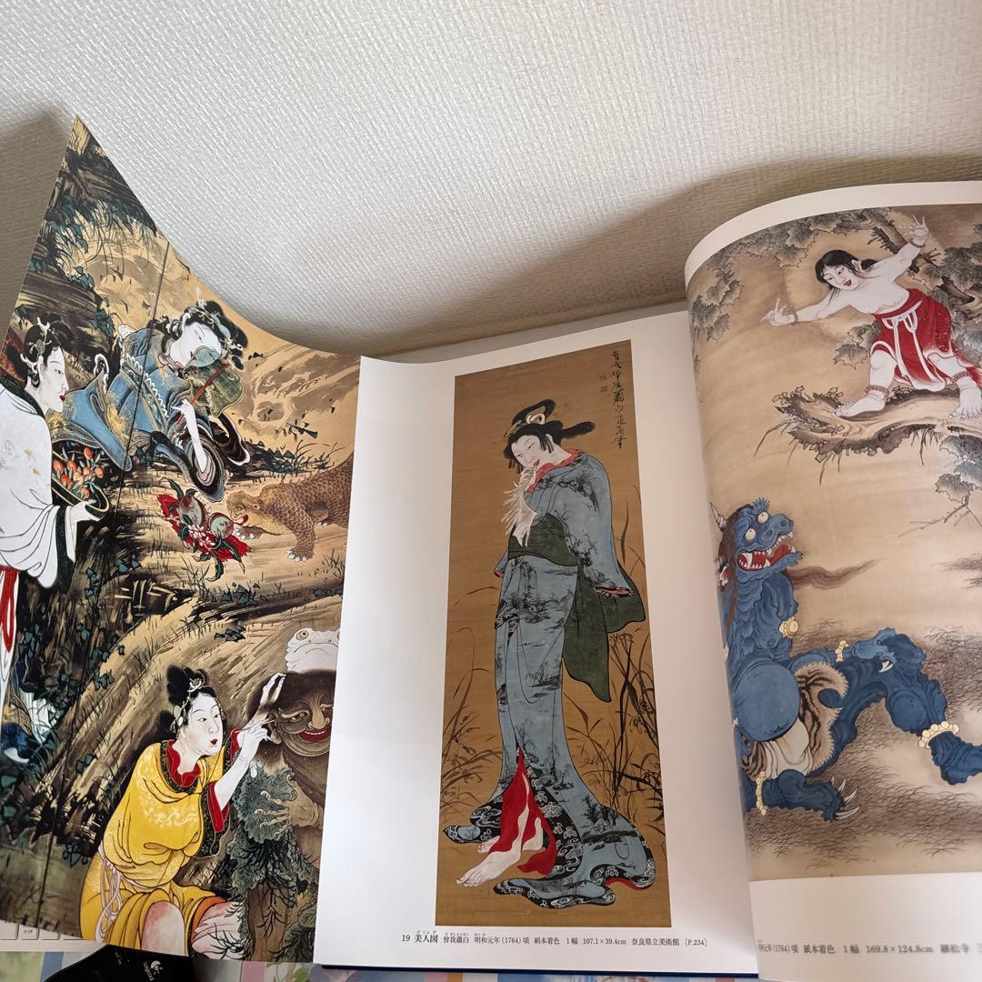 日本美術全集14 若冲・応挙、みやこの奇想　第二回配本・第14巻 江戸時代Ⅲ