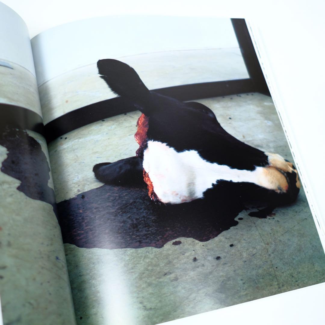DAMIEN HIRST ダミアン・ハースト　洋書　写真集　作品集　初版