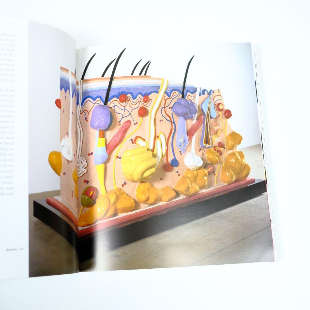 DAMIEN HIRST ダミアン・ハースト　洋書　写真集　作品集　初版