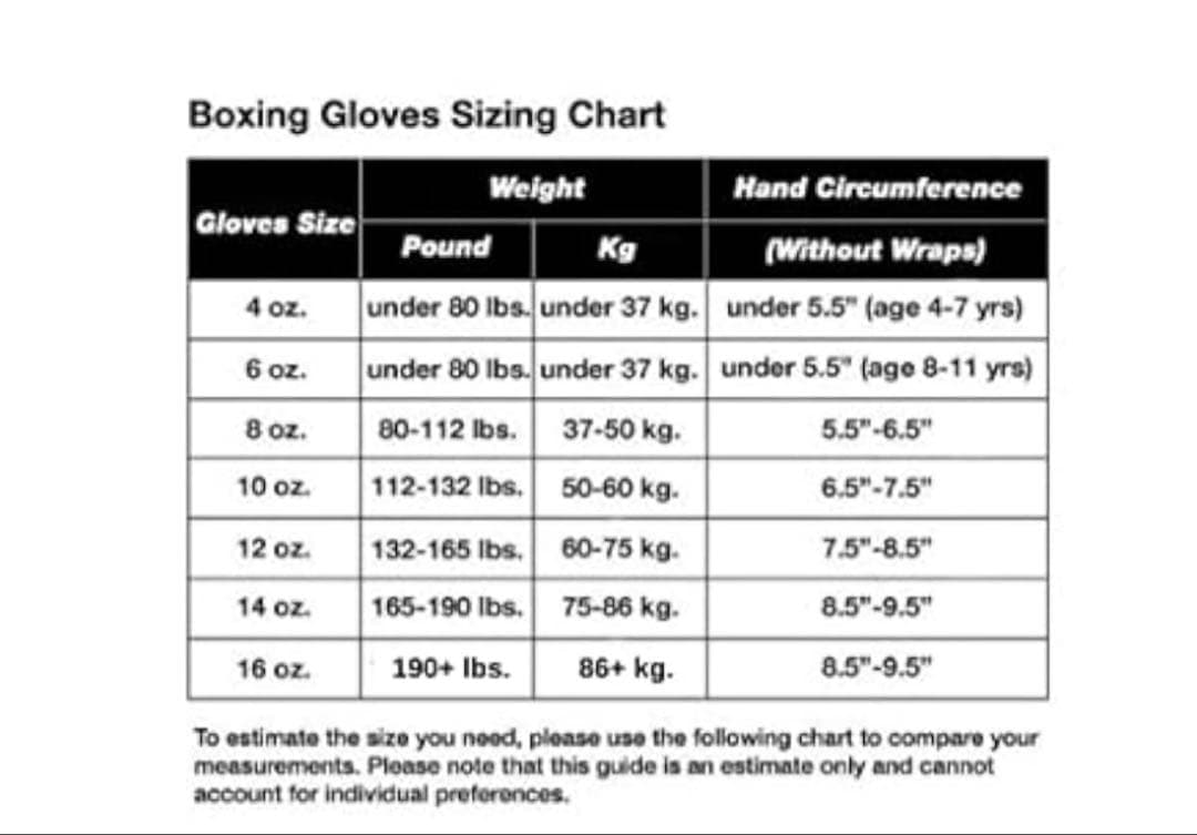 512109Fairtexムエタイ ボクシンググローブBGV1 - タイプライド