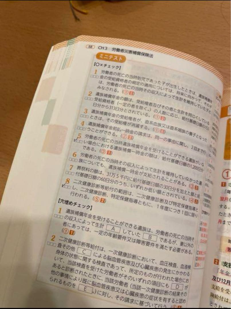 【大幅値下！】みんなが欲しかった! 社労士の教科書 総まとめDVD、テキスト！