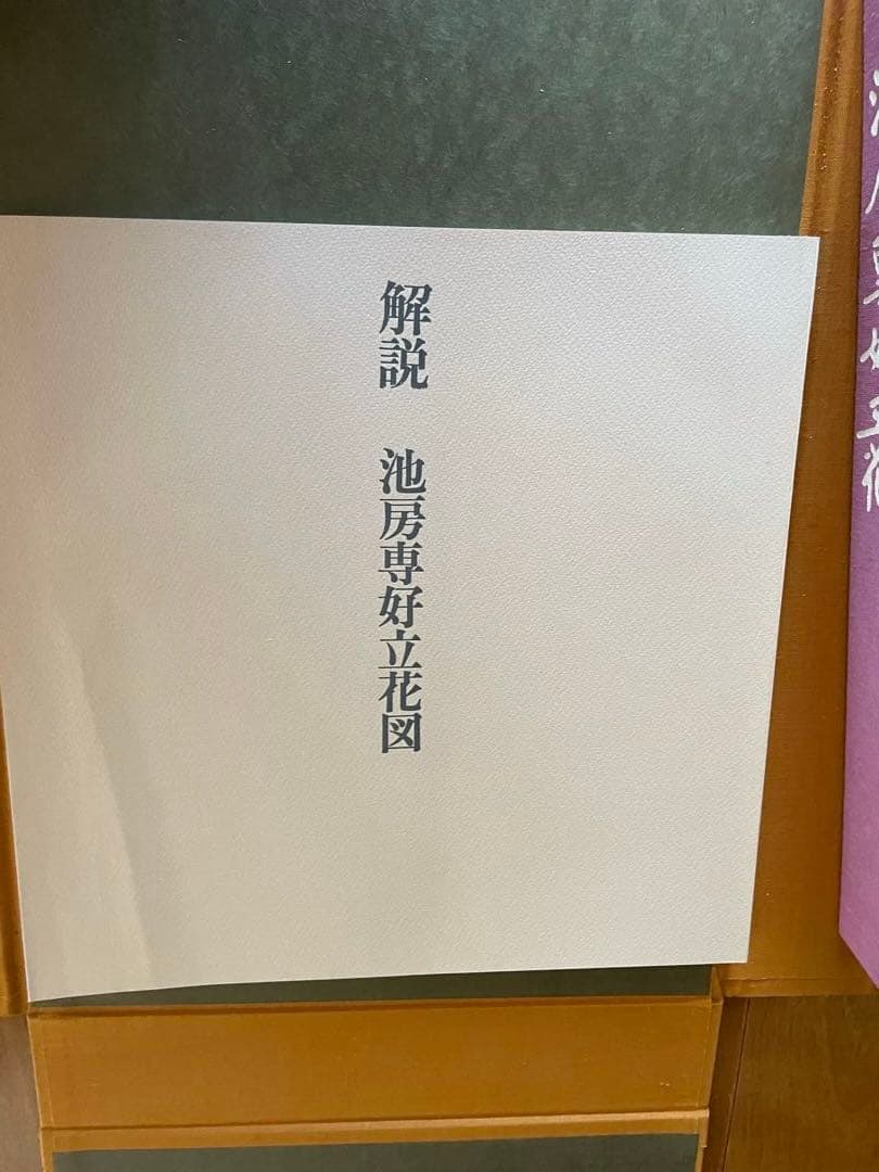 池房専好　立花　陽明文庫蔵　講談社