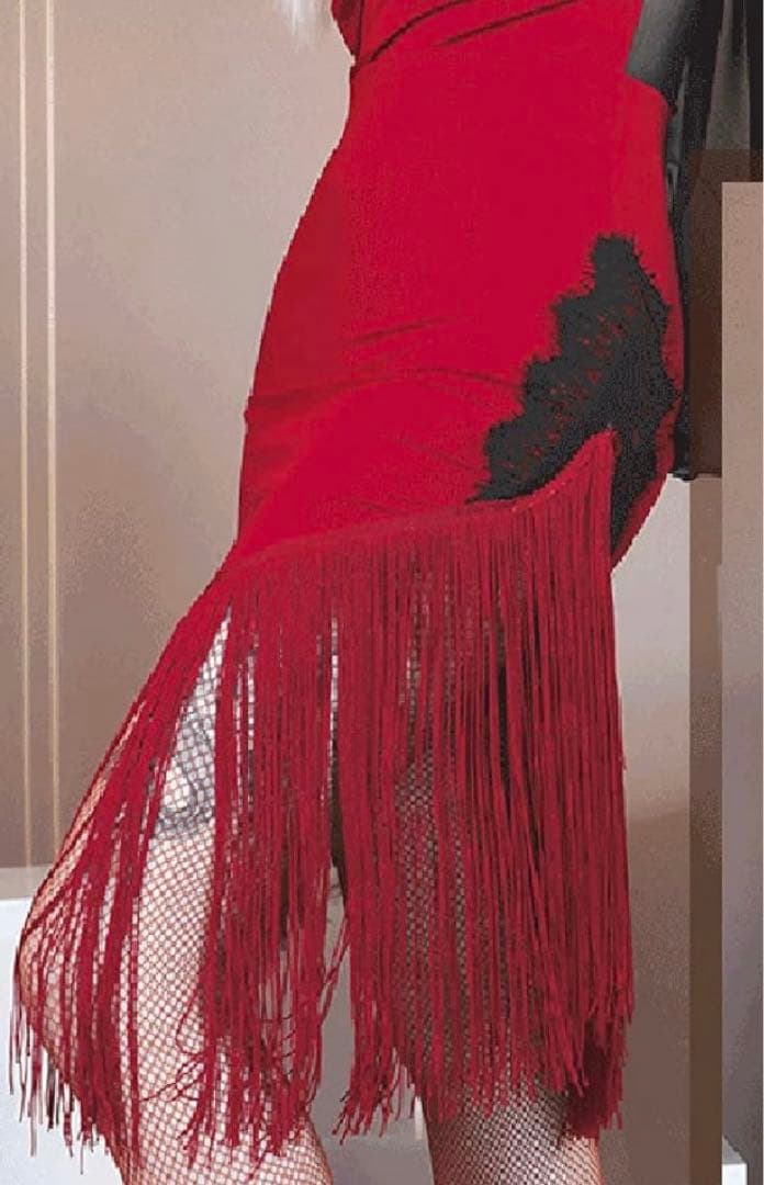 ダンス衣装　ラテンダンス衣装 フリンジ スカート レオタード ラテン衣装