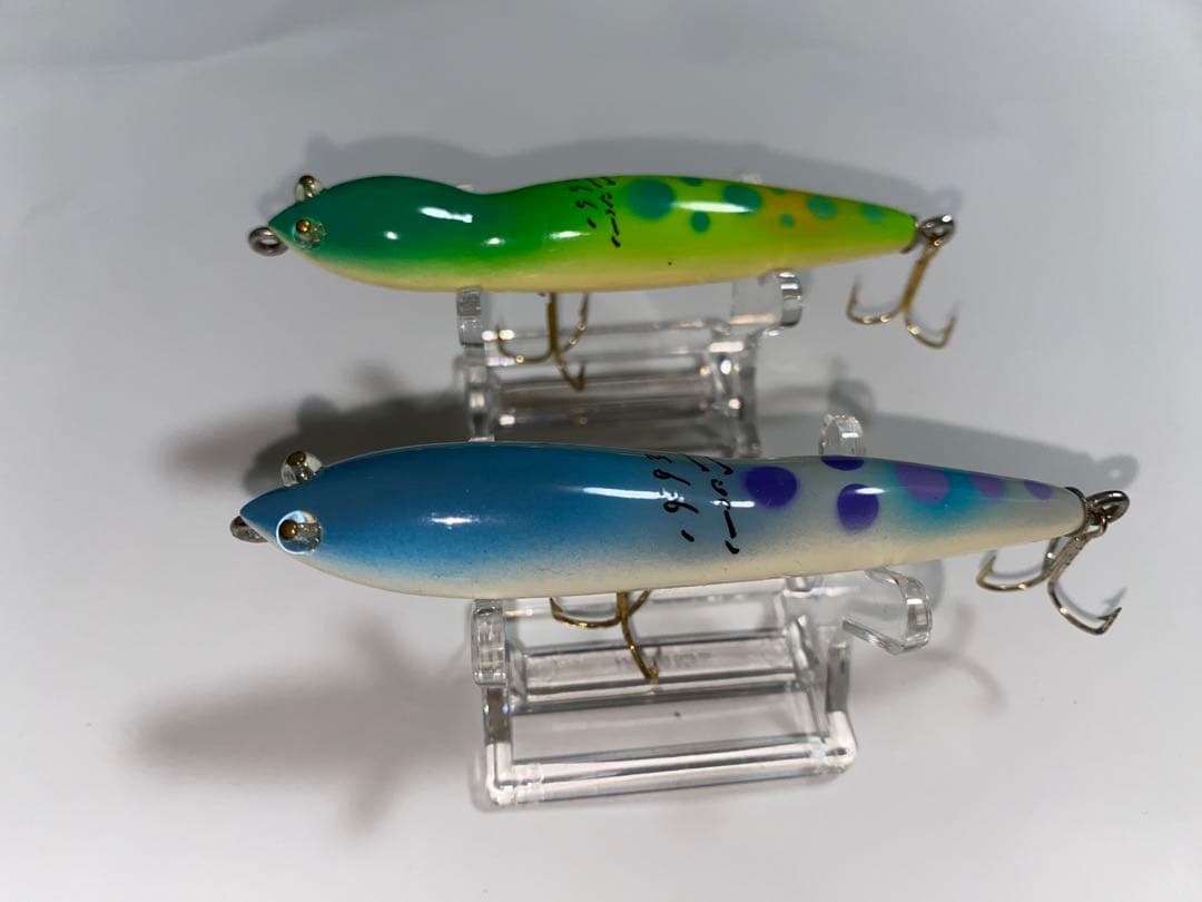 ハトリーズ　スペシャル　マダガスカル　トカゲ　オス　メス　ペア　セット