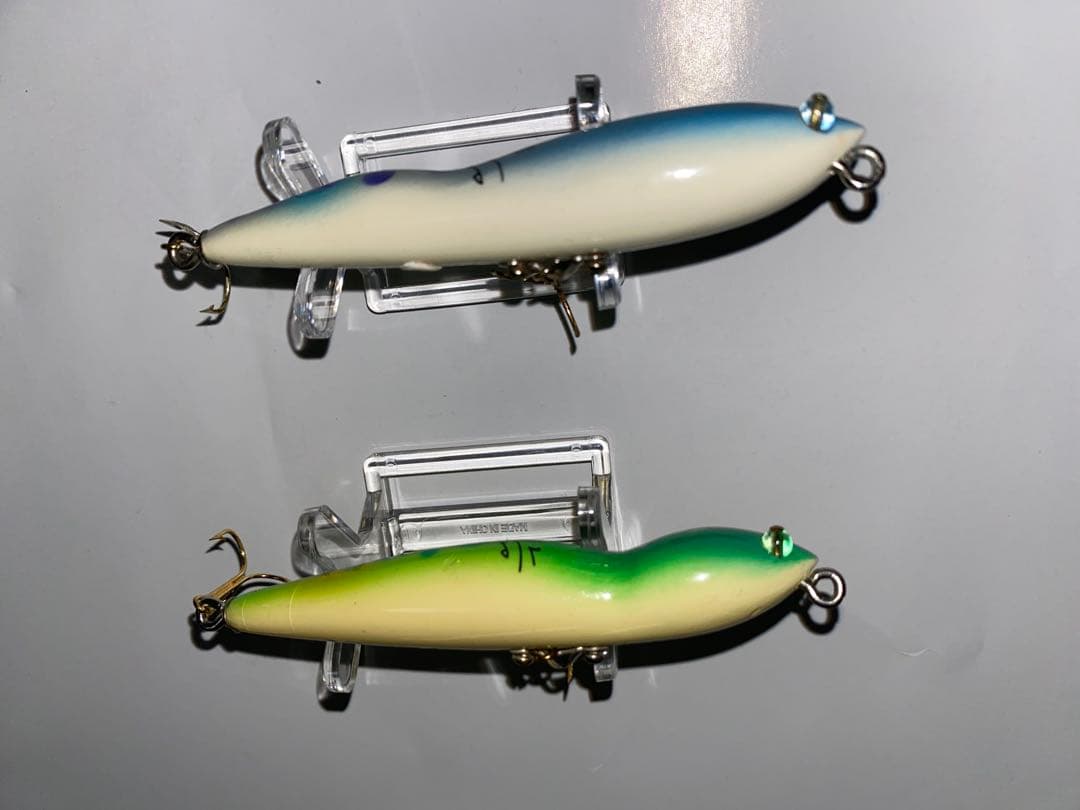 ハトリーズ　スペシャル　マダガスカル　トカゲ　オス　メス　ペア　セット