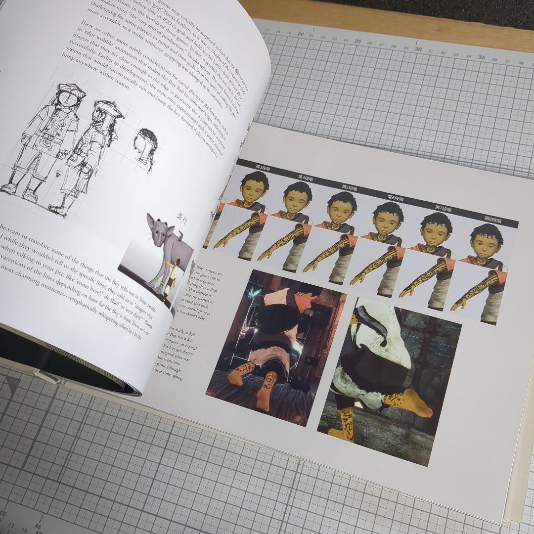 洋書 The Last Guardian An Extraordinary Story