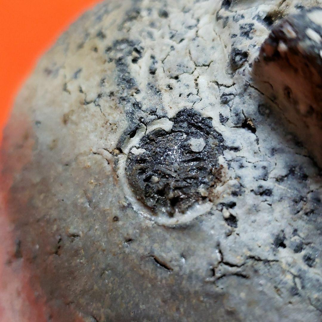 茶道具　茶碗　厚東建信　萩焼茶碗