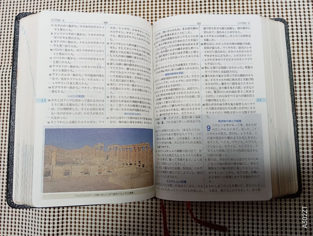 ■革表紙・三方金　聖地写真入り　聖書 新共同訳　 福音社　2003年