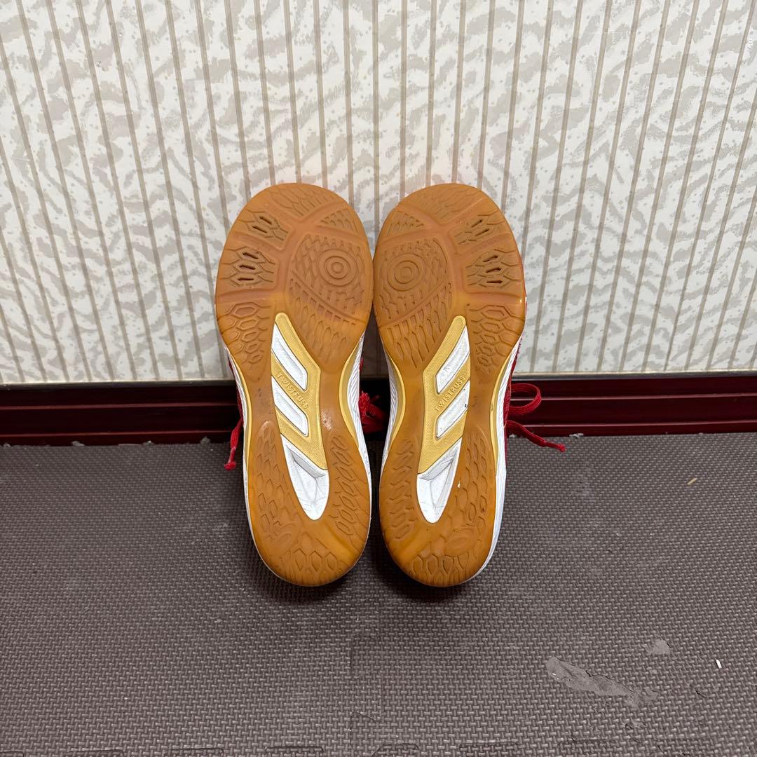 Mizuno バレーボールシューズ関田誠大選手モデル (おまけ付き)(26cm)