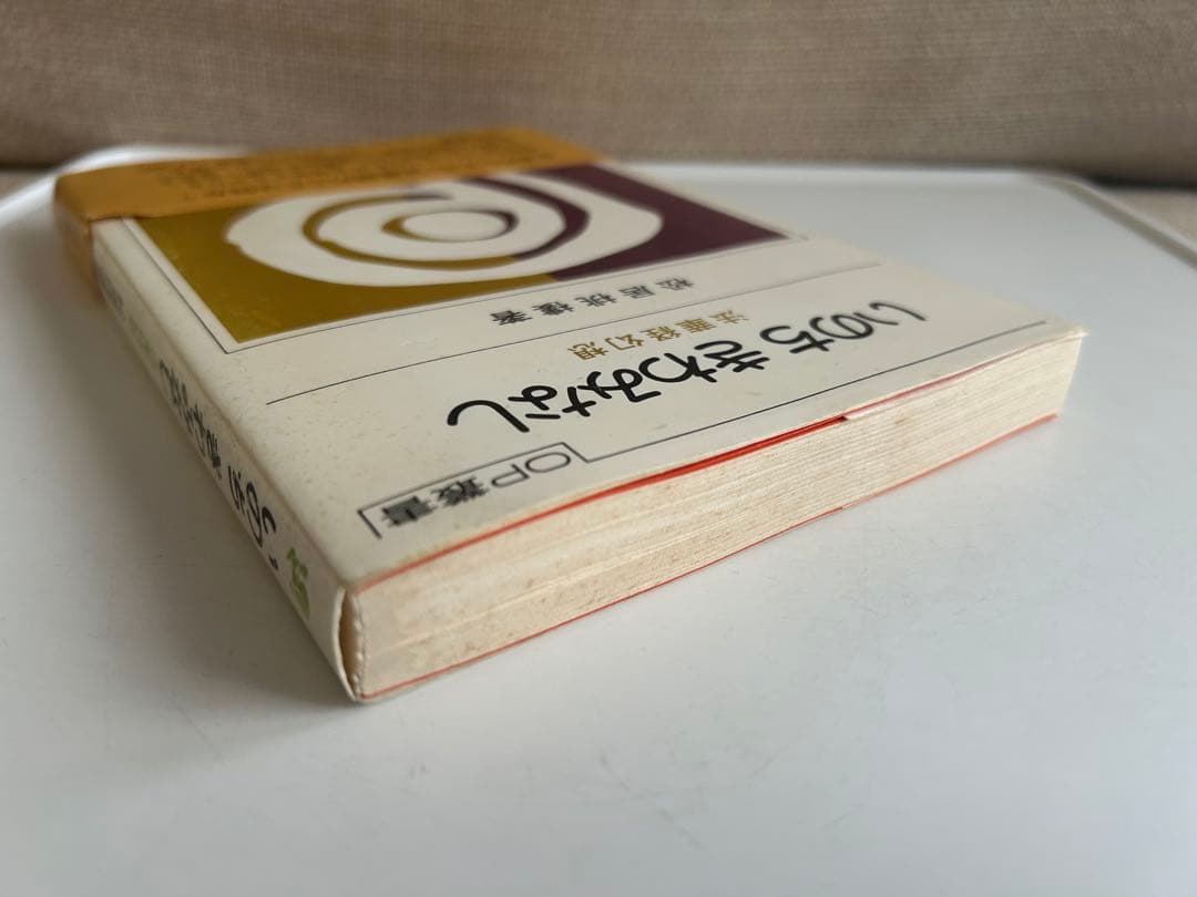 【帯付初版】 いのち きわみなし 法華経幻想 松井桃樓