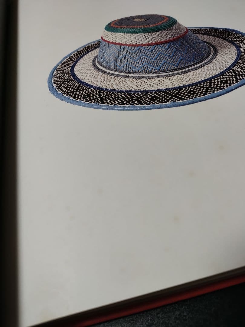 【外函付き】世界のかご文化図鑑 自然を編む民族の知恵と技術