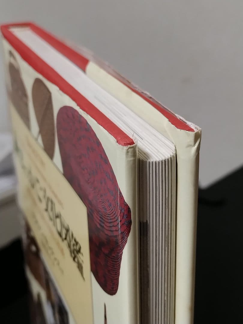 【外函付き】世界のかご文化図鑑 自然を編む民族の知恵と技術