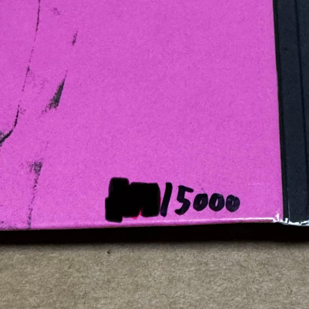 5000枚限定　Blink-182 ‎– One More Time...