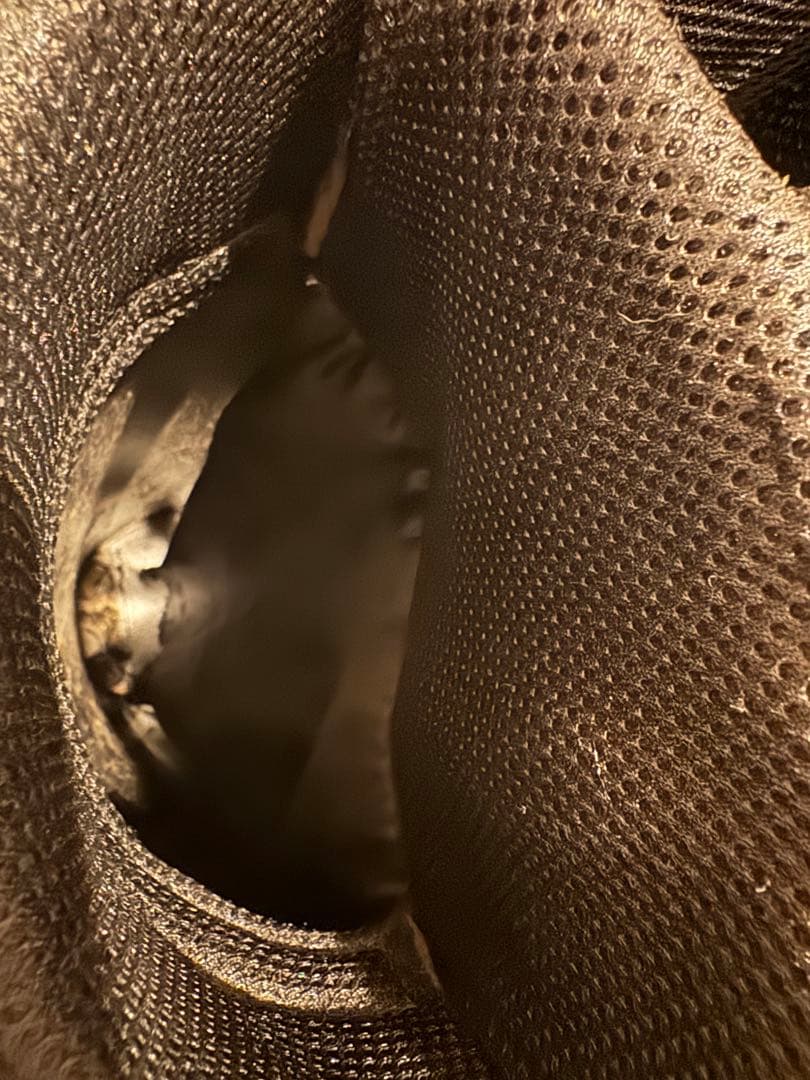 ブリヂストン ゴルフ　キャディバッグ