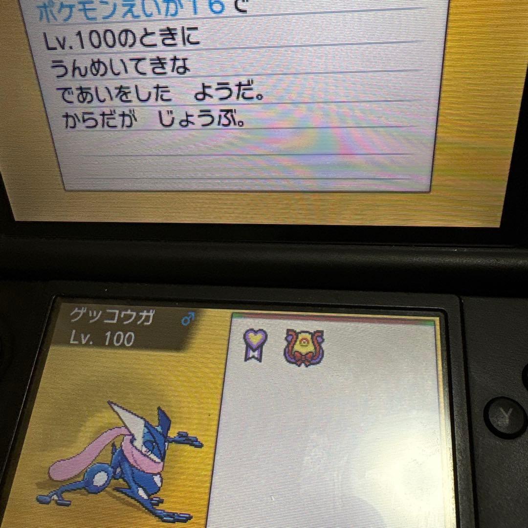 ポケットモンスター　オメガルビー　アルファサファイア　2本セット