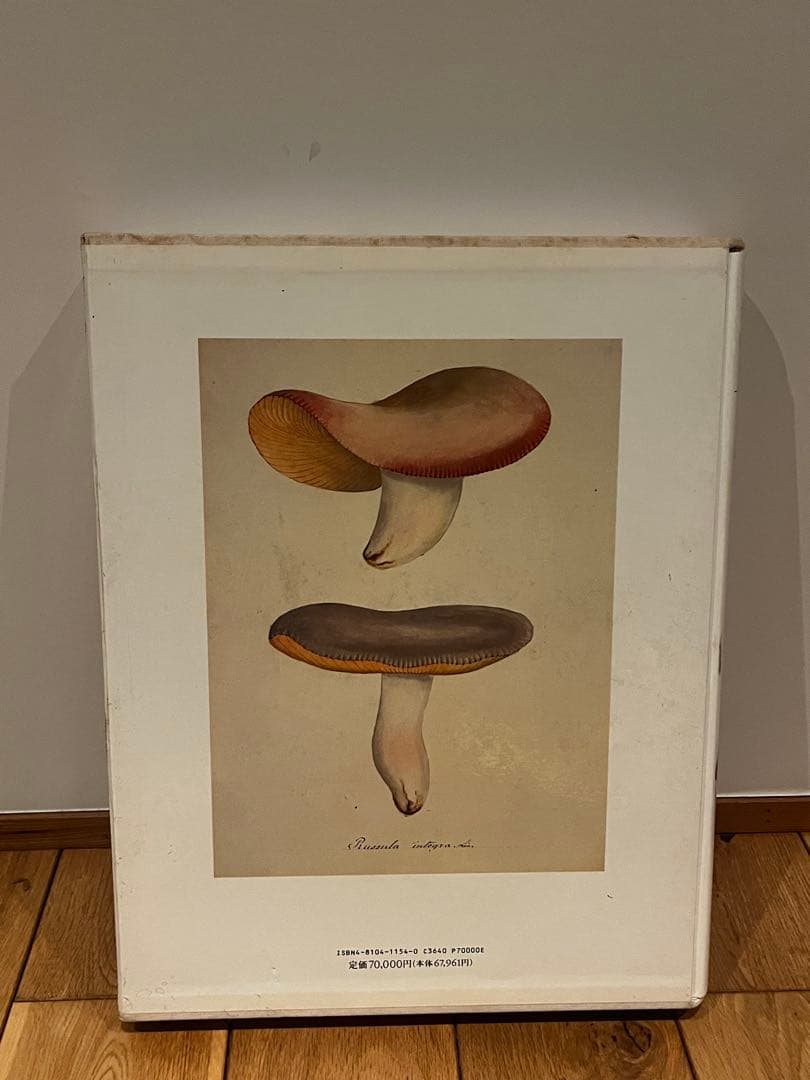 Les Champignons — 221点の水彩画と解説