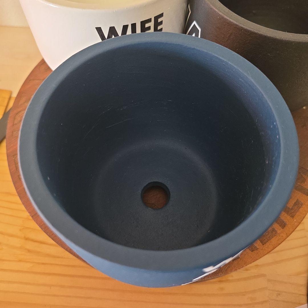 Willing plant限定 WAG.鉢未使用 3色セット