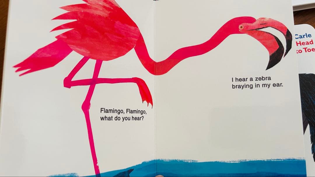 Eric carle/brown bear絵本セット11冊 新品