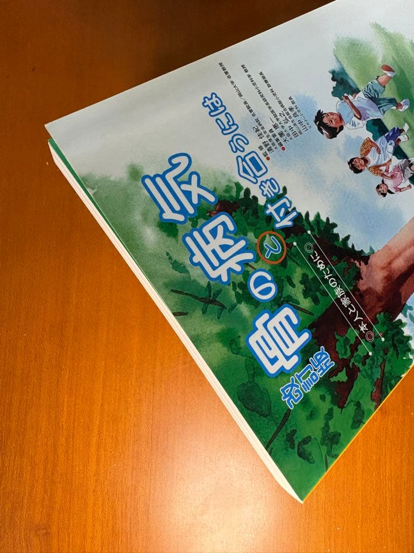【希少・美品】改訂版 骨の病気と付き合うには（メディカルレビュー社）