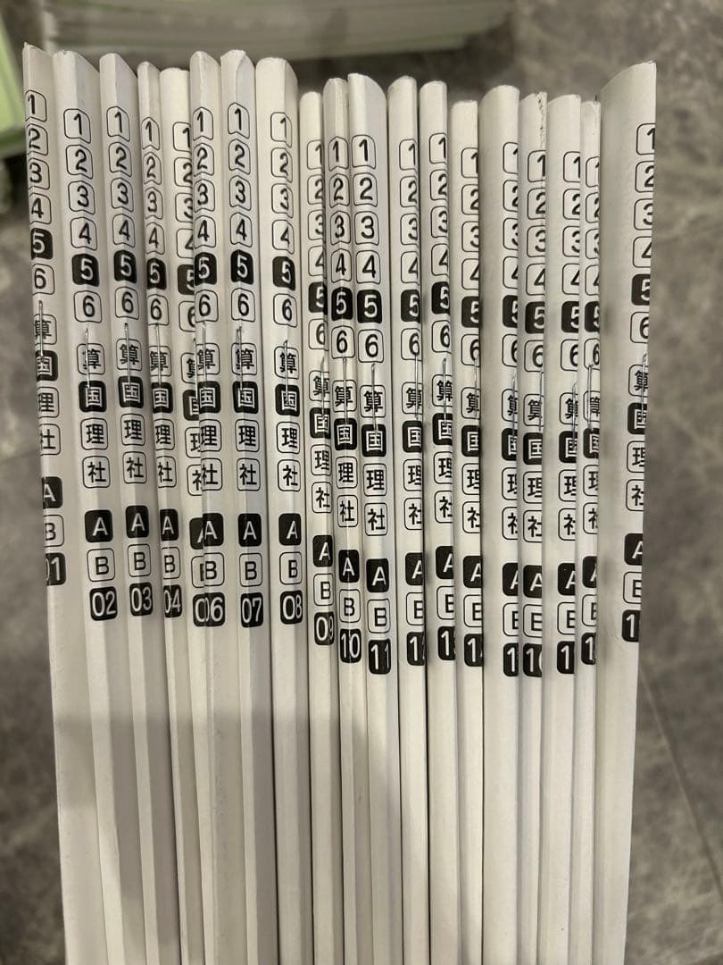 サピックス　５年　国語　１年分全て