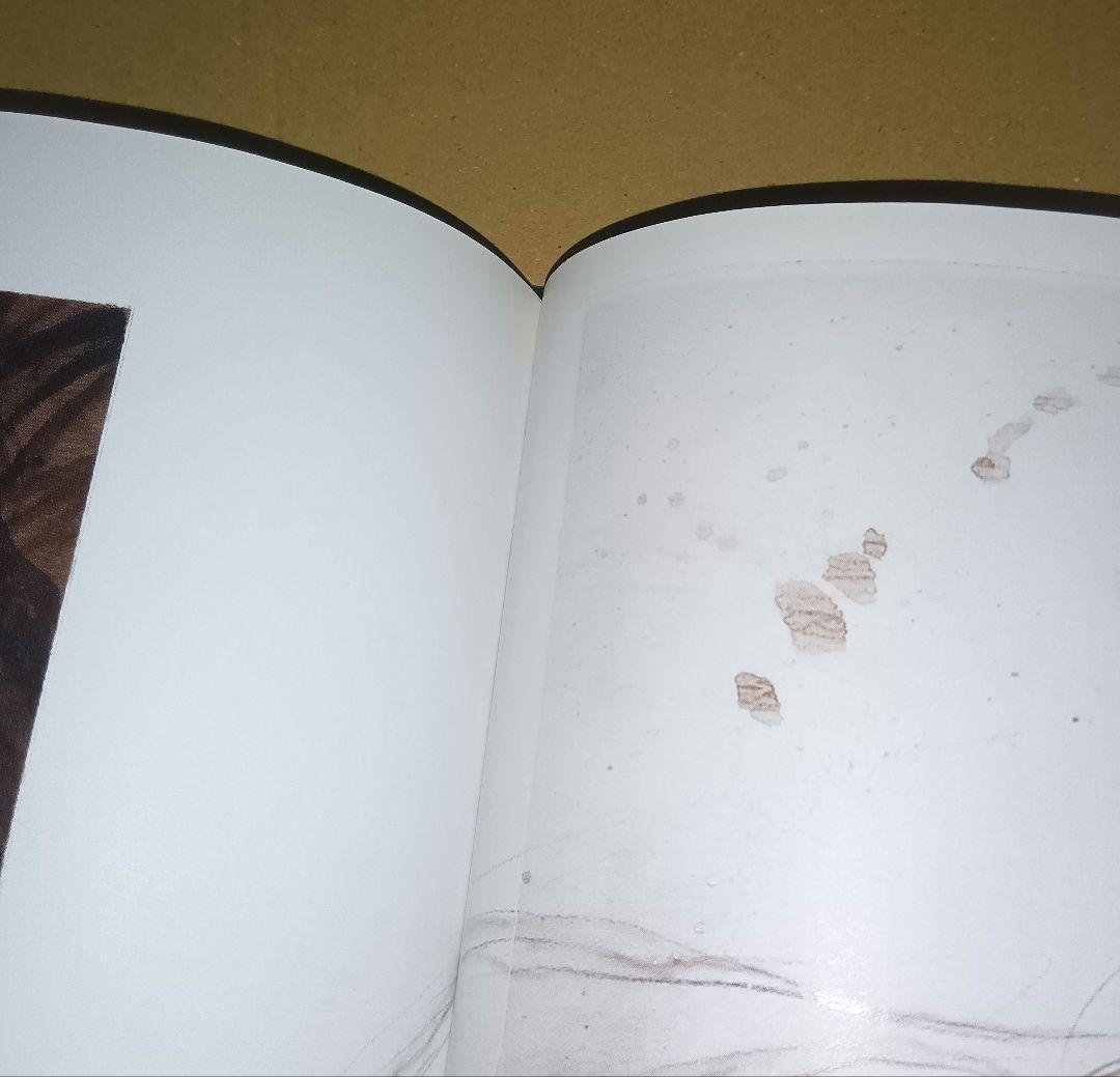 洋書 Luis Royo SUBVERSIVE BEAUTY