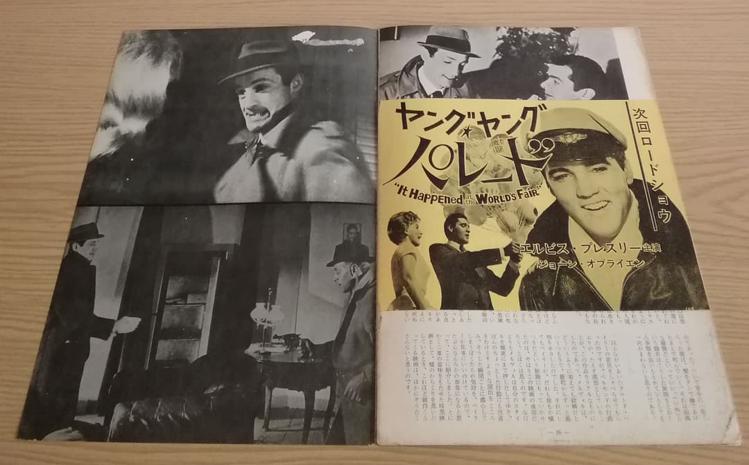 (レア)映画パンフレット　「いぬ」　※画ビョウ跡有り　ジャン・ポール・ベルモンド