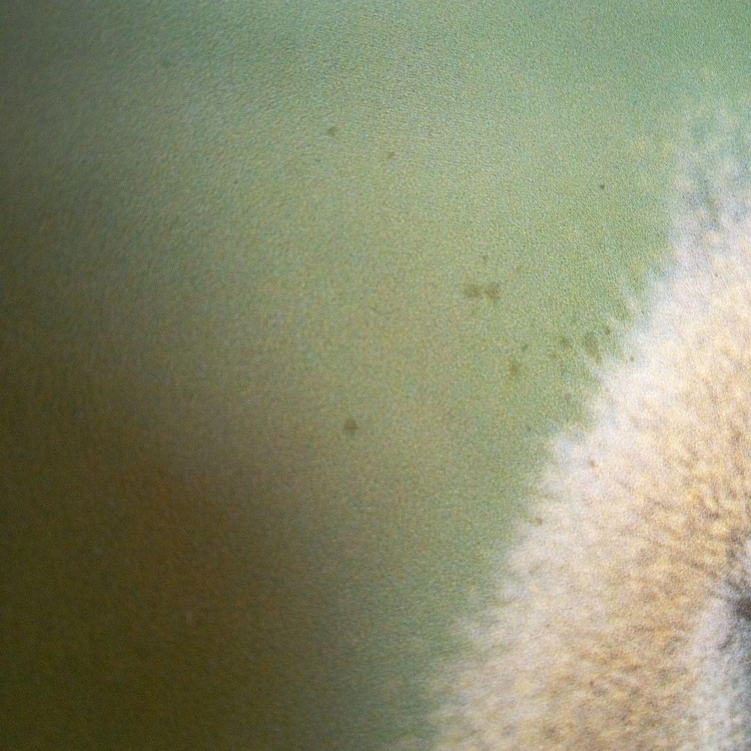 週間朝日百科　動物たちの地球　全144巻セット