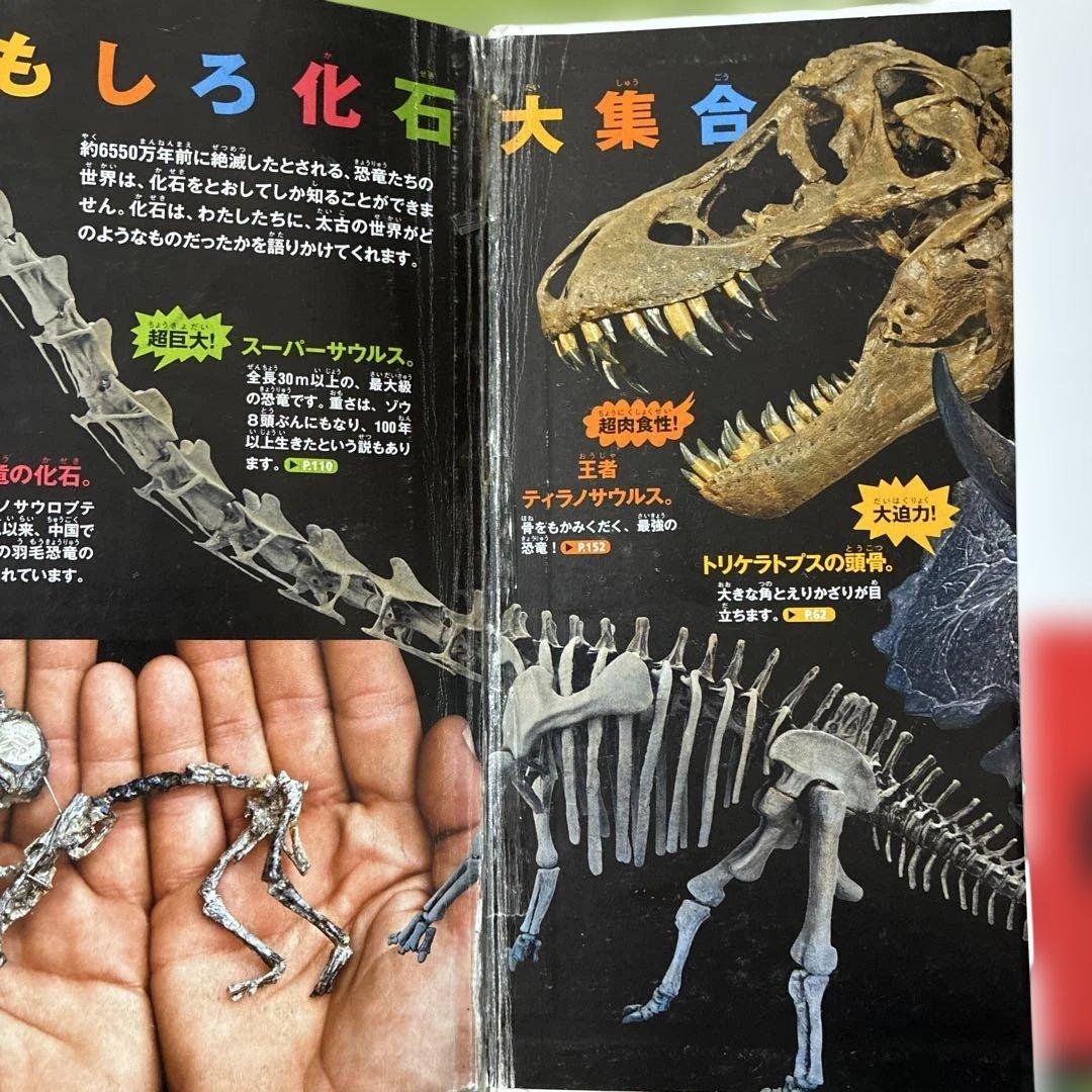 図鑑　講談社の動く図鑑move 小学館の図鑑NEO マクドナルド　DVDあり