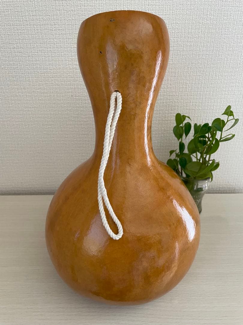 イプ　フラダンス　Hawaii楽器